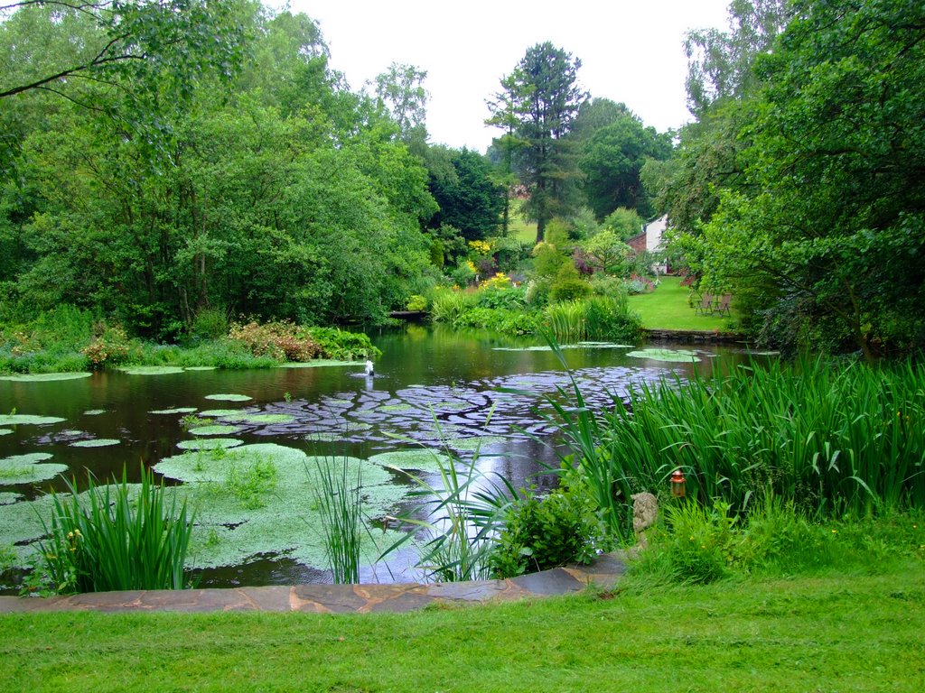 Stonyford Cottage Gardens