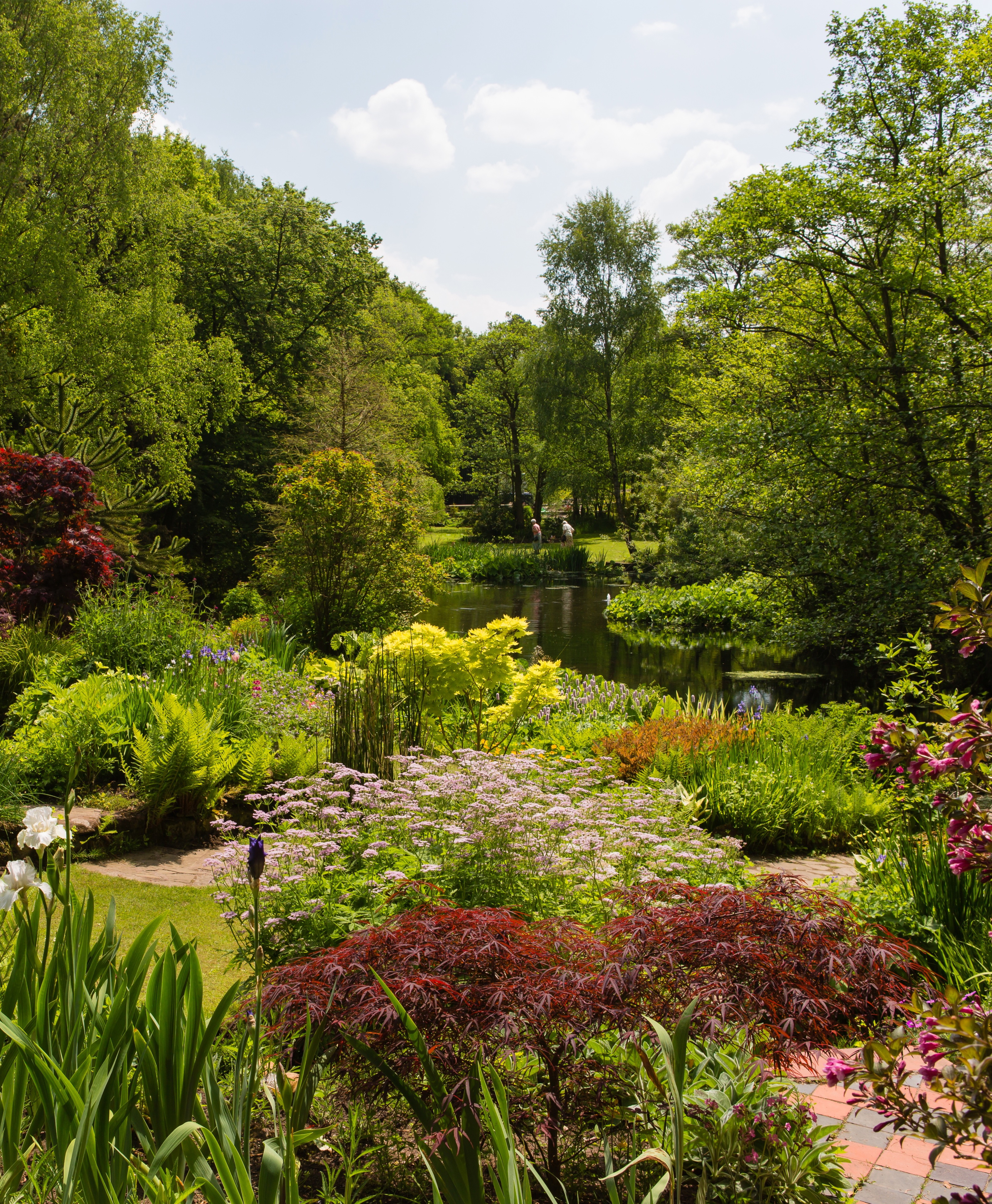 Photo Gallery Stonyford Cottage Gardens