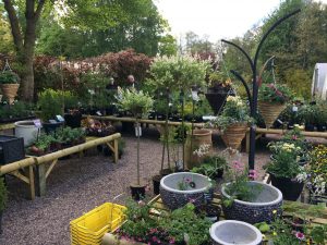 Plant Nursery Stonyford Cottage Gardens