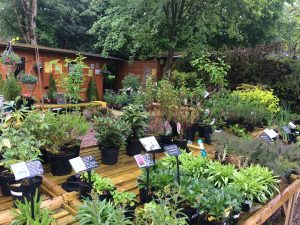Plant Nursery Stonyford Cottage Gardens